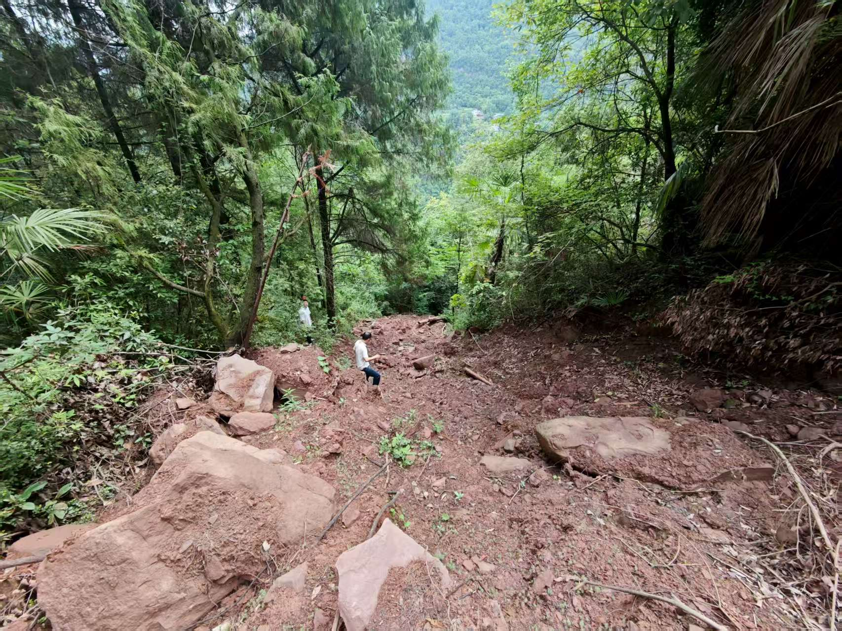 汛期堅(jiān)守一線 筑牢地災(zāi)防治安全屏障